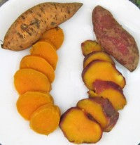 tubercule sudamericain